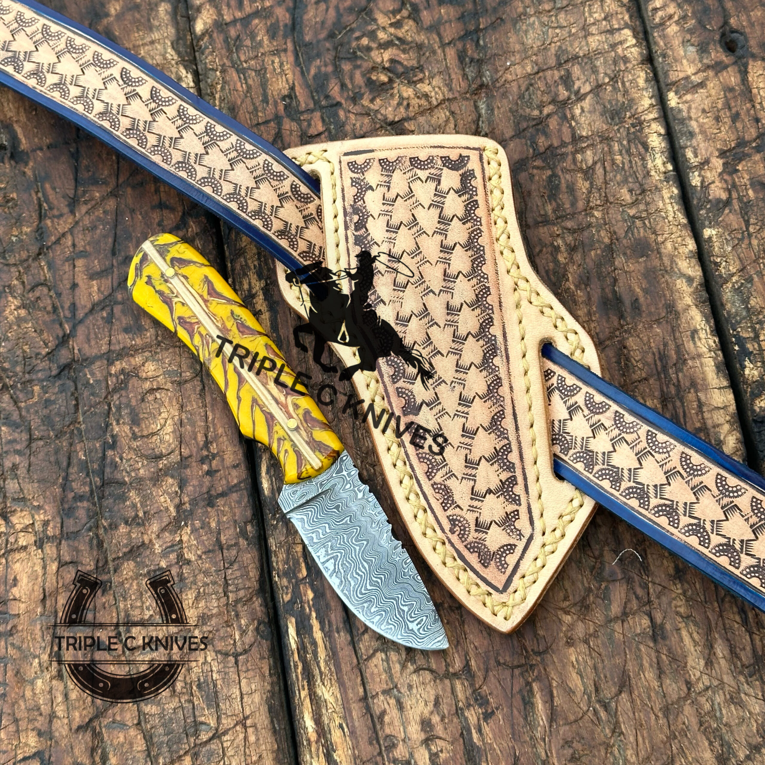 446ED24A-1D0B-4C9C-AF98-5282C656414D