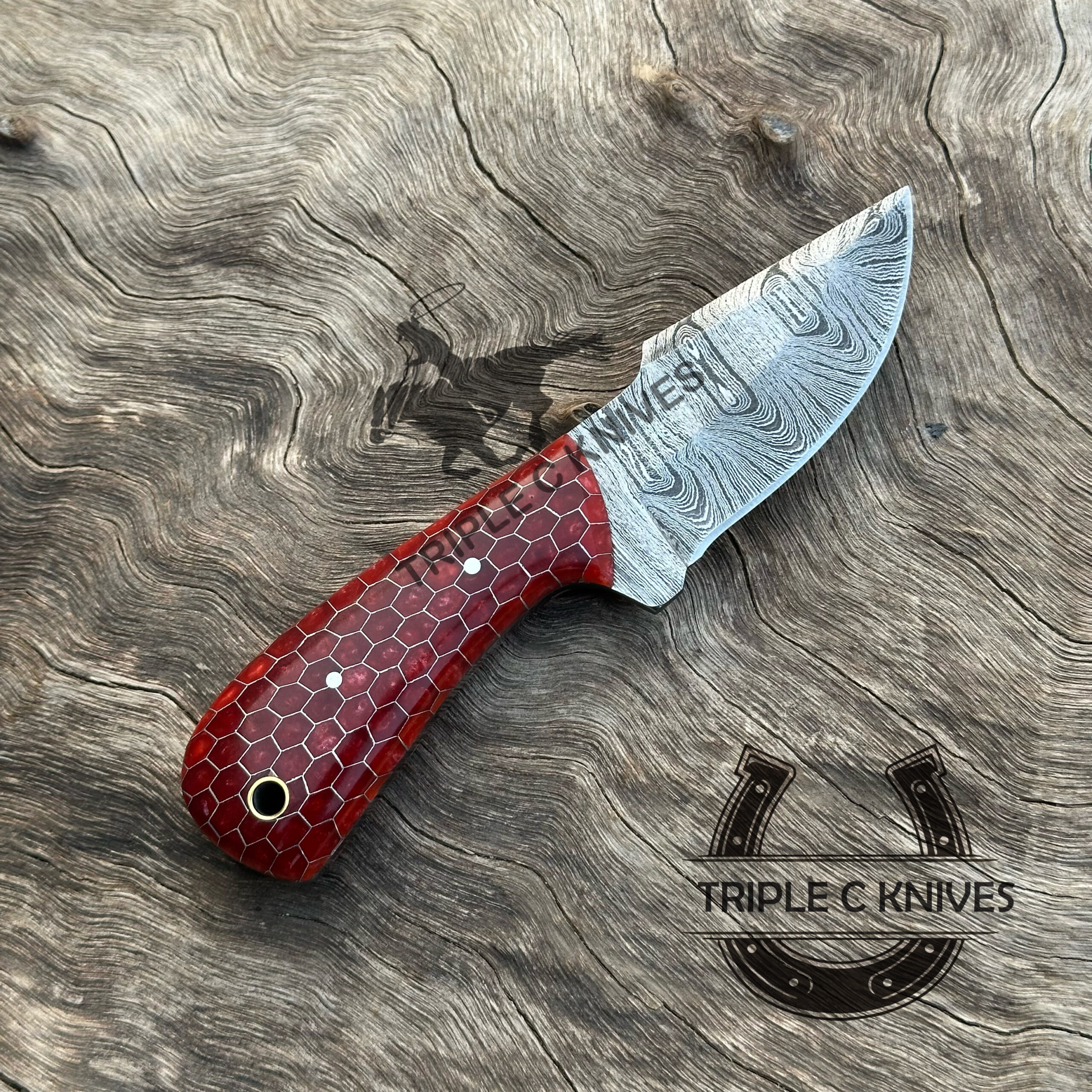 6F740D0C-6282-4ABB-AA1B-7B2F1D7E4E9C