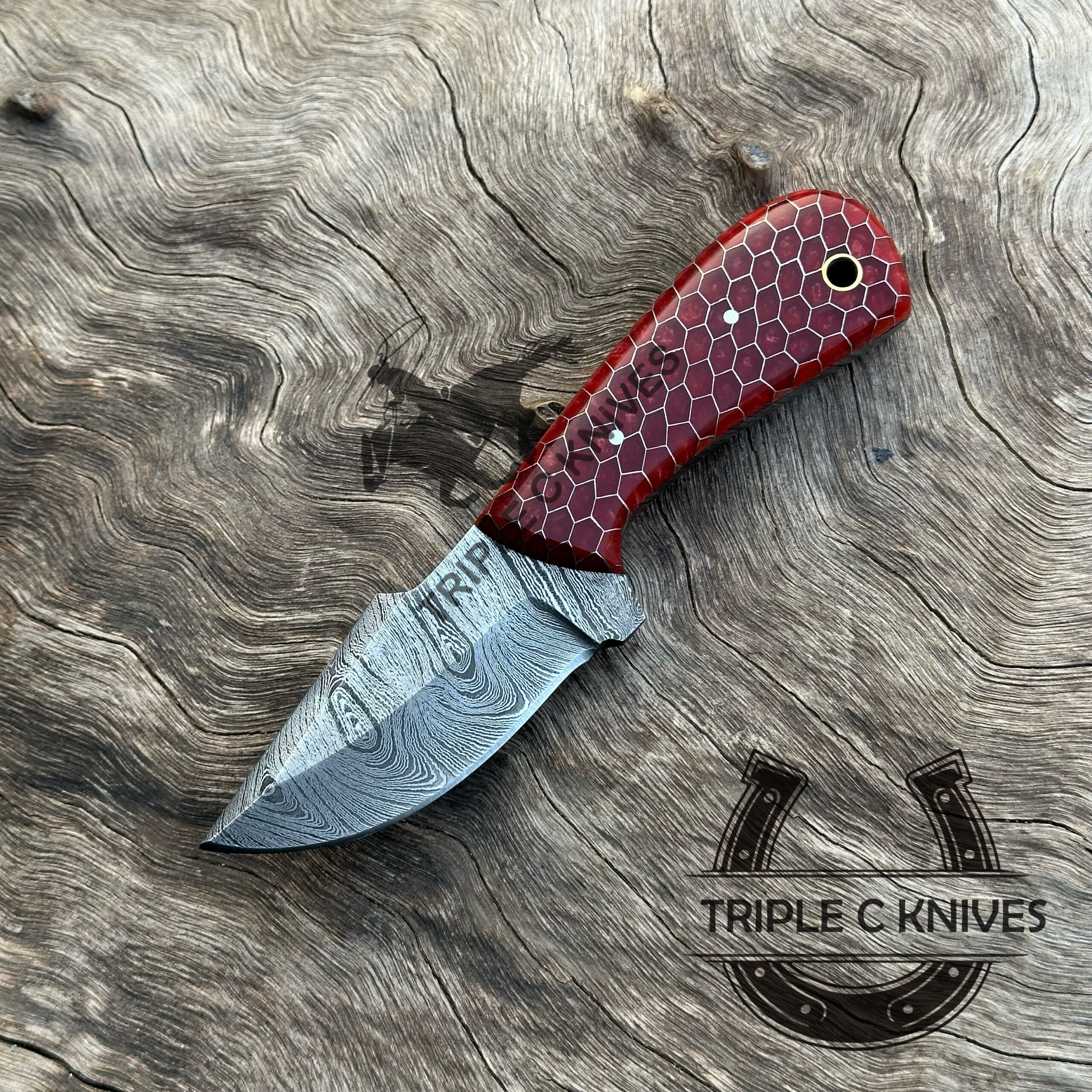 C976973B-353C-44E8-81FF-D87976FF6A9A